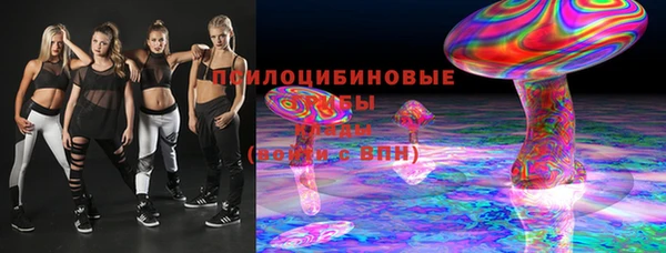 дживик Заводоуковск