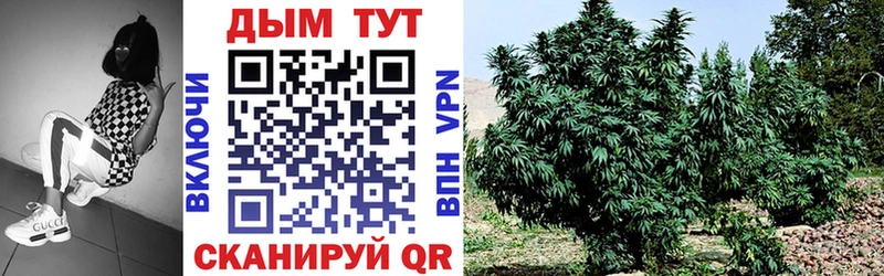 МАРИХУАНА White Widow  Буйнакск 